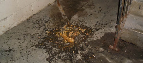 Bodily Fluid Decontamination