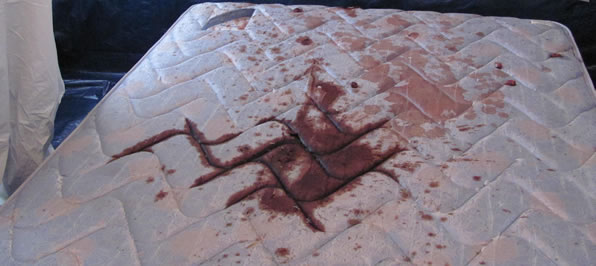 Decomposition Cleanup & Decontamination