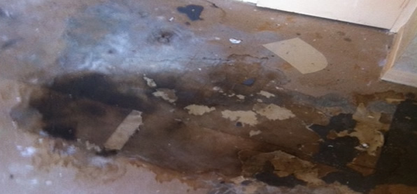 Natural & Traumatic Event Cleanup & Decontamination