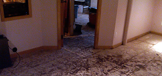 Sewage Cleanup Service